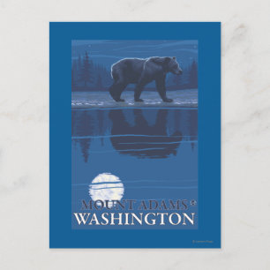 Carte Postale Ours au clair de lune - Mont Adams, Washington