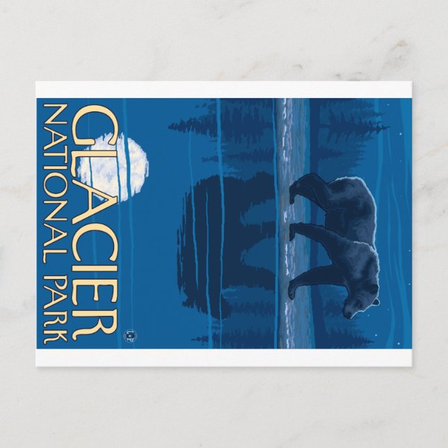 Carte Postale Ours au clair de lune - Parc national des Glaciers (Devant)