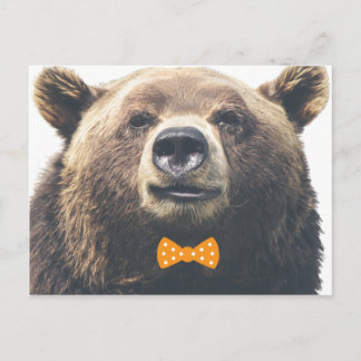 Carte Postale Ours avec arc