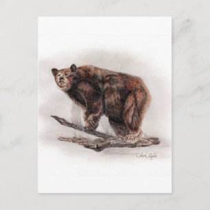 Carte Postale Ours Brown