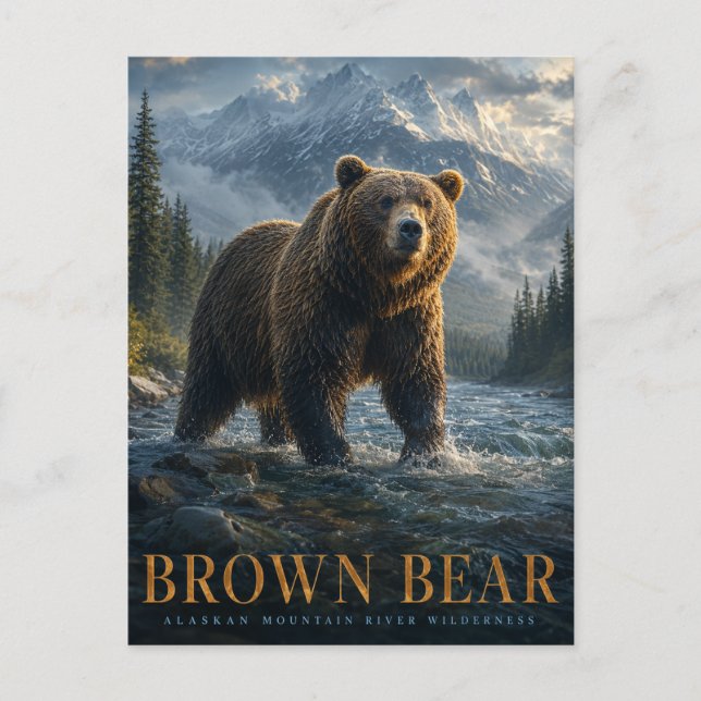 Carte Postale Ours Brun Rivière Alaska ANIMALS (Devant)