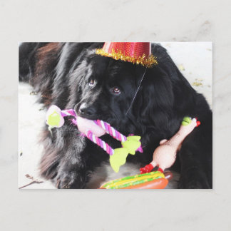 Carte Postale Ours d'anniversaire