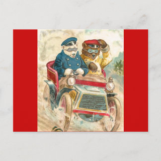 Carte Postale Ours de course
