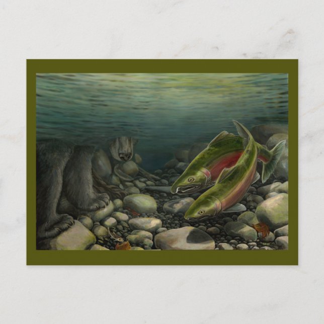Carte postale Ours De Pêche Carte Postale Saumon P (Devant)
