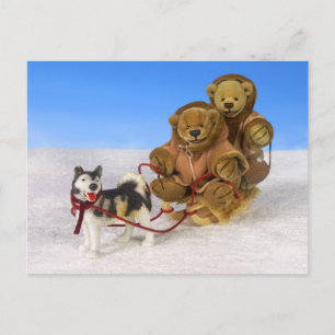 Carte Postale Ours Dinky en traîneau à chiens