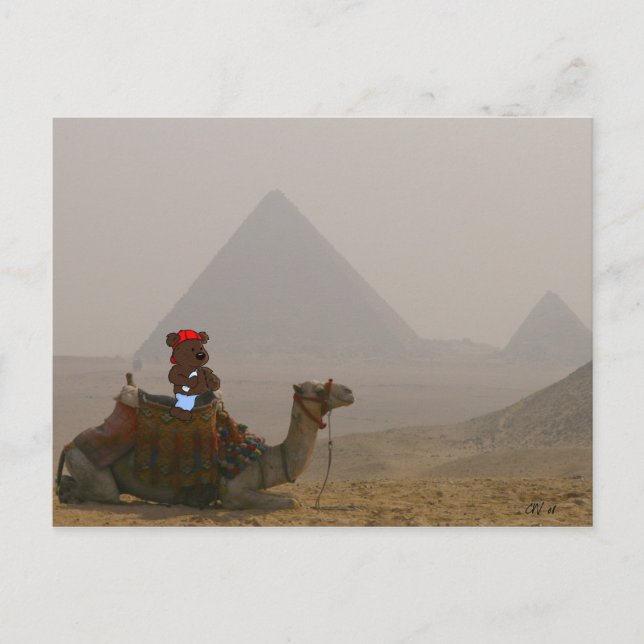Carte postale 'Ours en Egypte' (Devant)