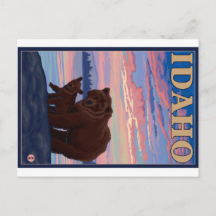 Carte Postale Ours et cub - Idaho