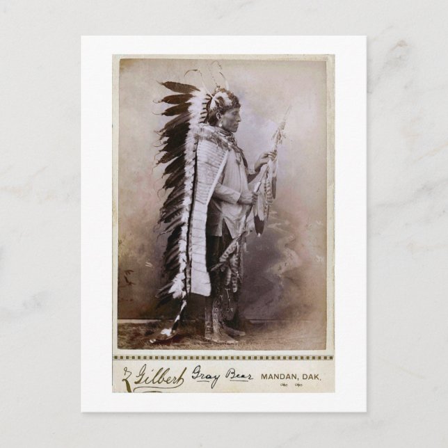 Carte Postale Ours gris 1880 (Devant)