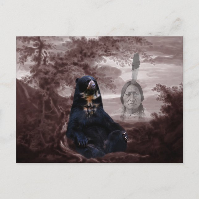 Carte Postale Ours noir amérindien (Devant)