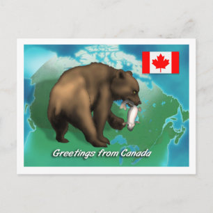 Carte Postale Ours noir canadien