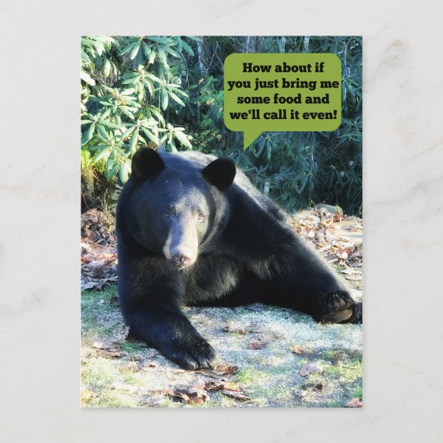 Carte Postale Ours noir - "Cubby - Faisons un accord" (Devant)