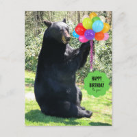 Ours Noir - "Cubby - Joyeux Anniversaire !"