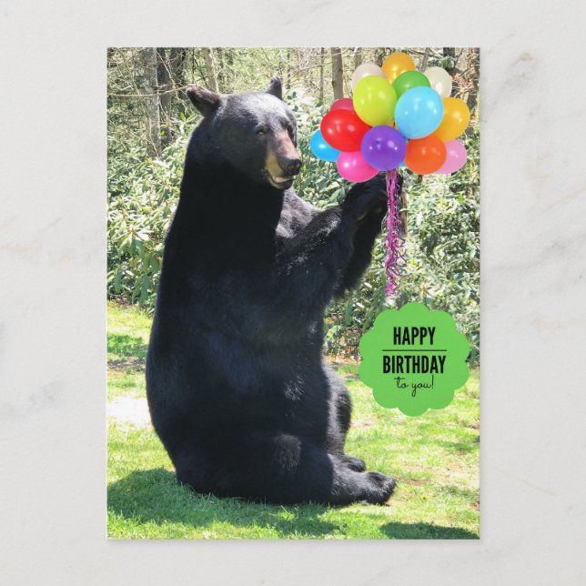 Carte Postale Ours Noir - "Cubby - Joyeux anniversaire !" (Devant)