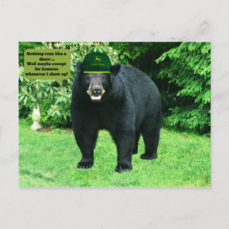 Carte Postale Ours noir - "Cubby - Rien ne tourne comme un Deere