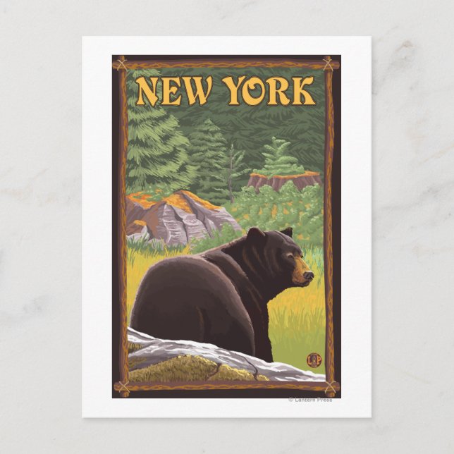 Carte Postale Ours noir de New York en forêt (Devant)