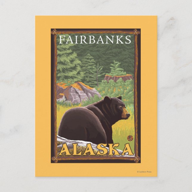 Carte Postale Ours noir en forêt - Fairbanks, Alaska (Devant)
