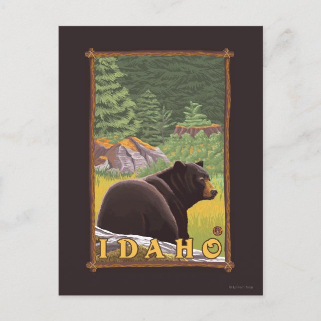 Carte Postale Ours noir en forêt - Idaho (Devant)
