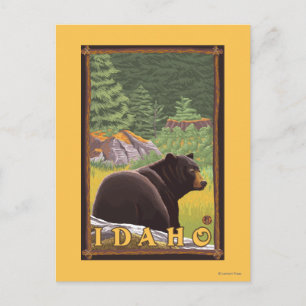 Carte Postale Ours noir en forêt - Idaho