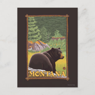 Carte Postale Ours noir en forêt - Montana