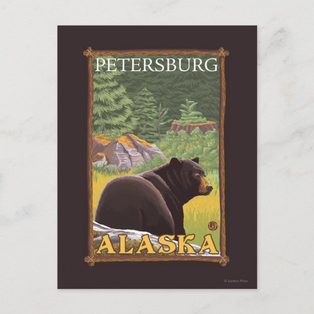 Carte Postale Ours noir en forêt - Petersburg, Alaska (Devant)