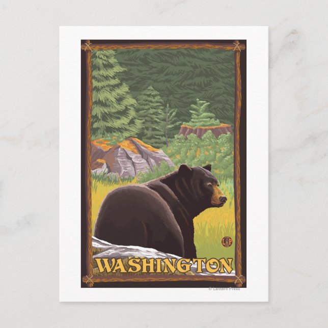 Carte Postale Ours noir en forêt - Washington (Devant)