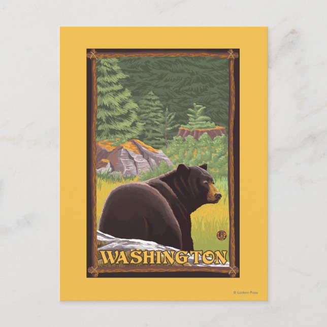 Carte Postale Ours noir en forêt - Washington (Devant)