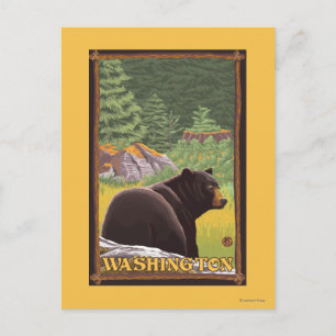 Carte Postale Ours noir en forêt - Washington