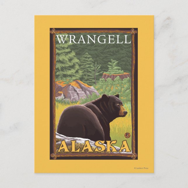 Carte Postale Ours noir en forêt - Wrangell, Alaska (Devant)
