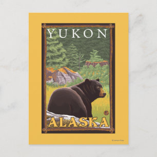 Carte Postale Ours noir en forêt - Yukon, Alaska