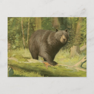 Carte Postale Ours noir faisant un pas sur un tronc d'arbre