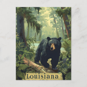 Carte Postale Ours noir Louisiane