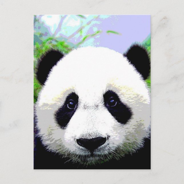 Carte Postale Ours Panda (Devant)