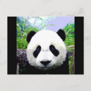 Carte Postale Ours Panda