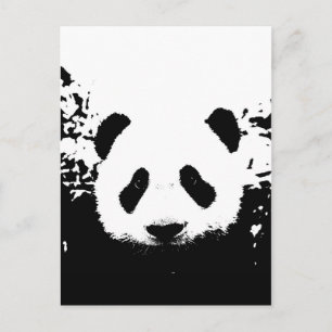 Carte Postale Ours Panda