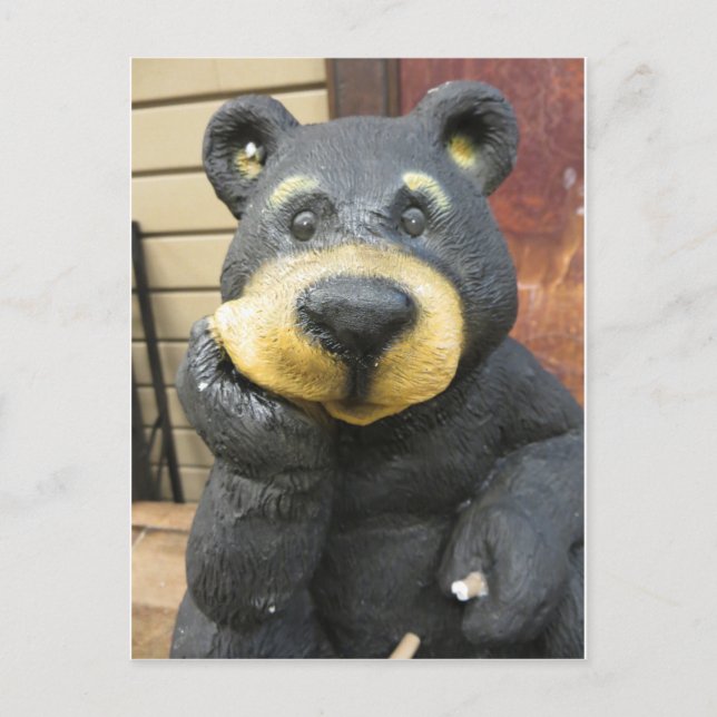 Carte Postale Ours pensif (Devant)
