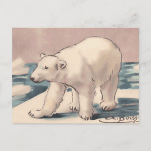 Carte Postale Ours polaire