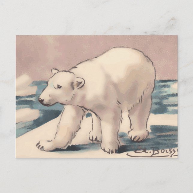 Carte Postale Ours polaire (Devant)