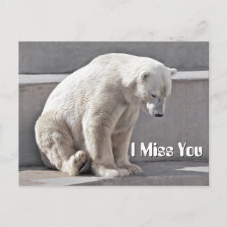 Carte Postale Ours Polaire Je Vous Manque