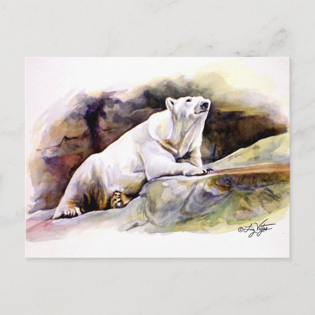 Carte postale Ours Polaire Repose (Devant)