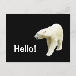 Carte Postale Ours polaire sur Black Hello