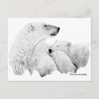 Carte Postale Ours polaires