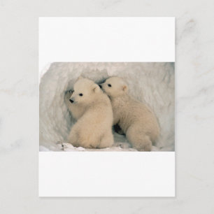 CARTE POSTALE OURS POLAIRES DE BÉBÉ TWIN