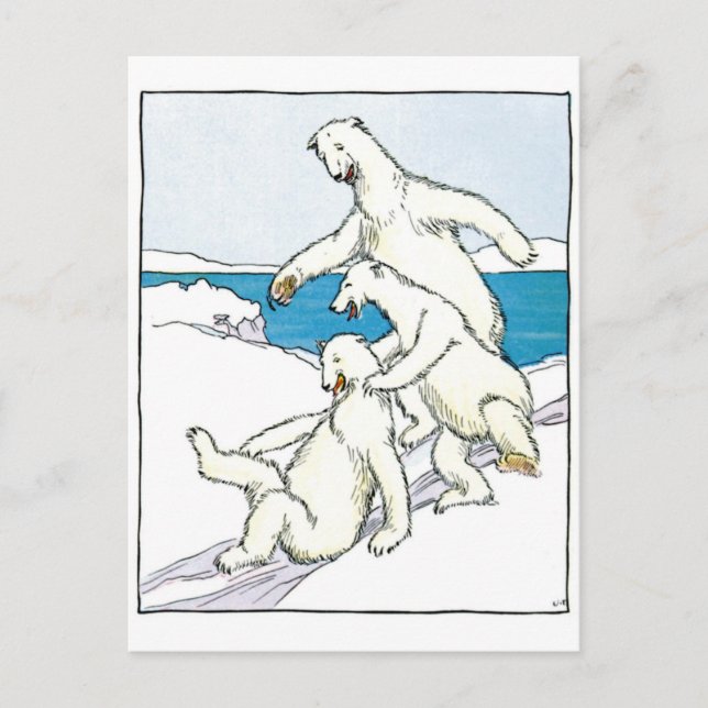 Carte Postale Ours polaires vintages (Devant)