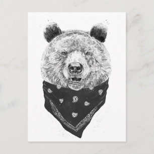 Carte Postale Ours sauvage