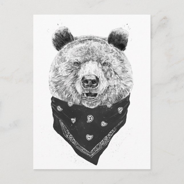 Carte Postale Ours sauvage (Devant)