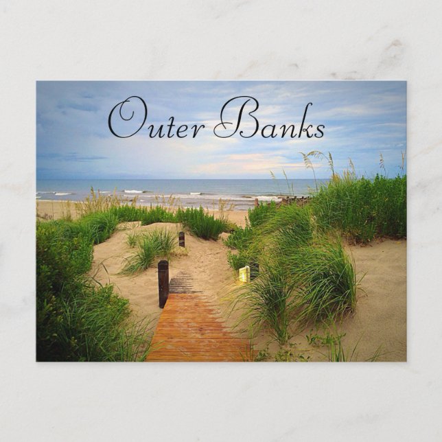Carte Postale Outer Banks Dunes Postcard (Devant)