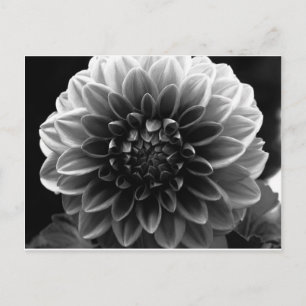 Carte Postale Ouverture De Tous Les Calques