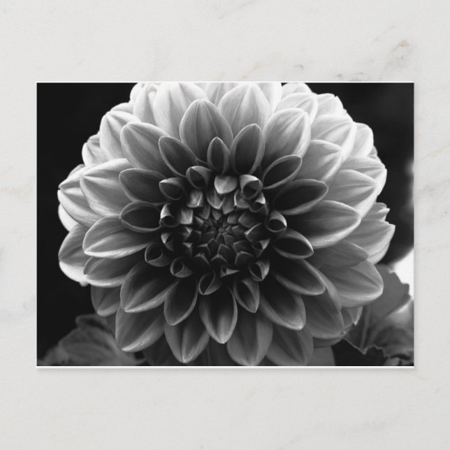 Carte Postale Ouverture De Tous Les Calques (Devant)