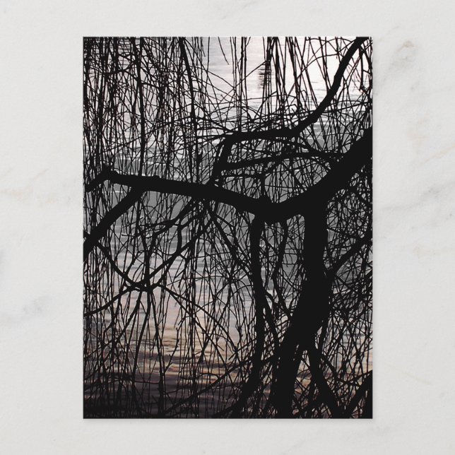 CARTE POSTALE OUVRIR DES ARBRES SAUVAGES (Devant)