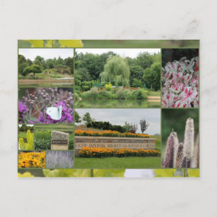 Carte Postale Overland Park Arboretum et jardins botaniques